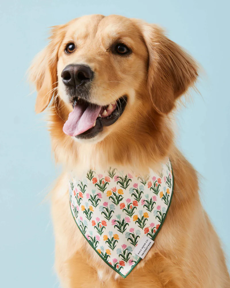 Rifle Paper Co. X TFD Tulips Dog Bandana (Made in the USA) (FINAL SALE)