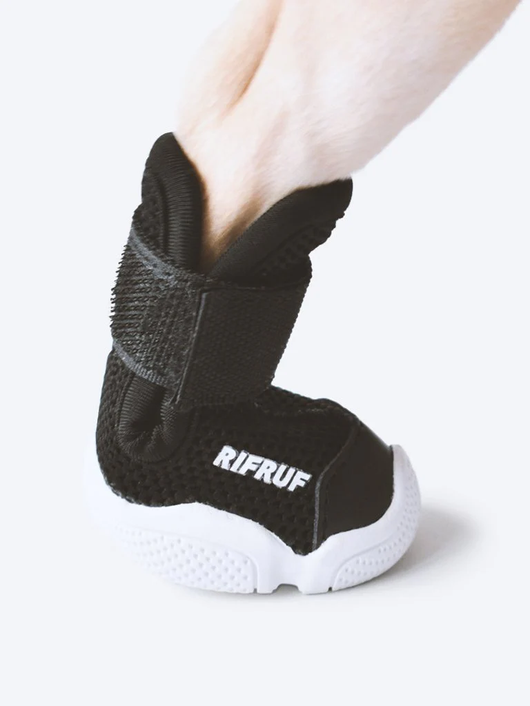 Caesar Dog Sneakers in Black - Image 3