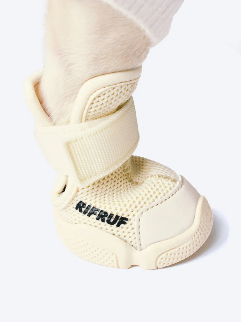 Caesar Dog Sneaker Boot in Bone - Image 2