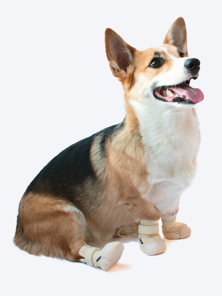 Caesar Dog Sneaker Boot in Bone - Image 4