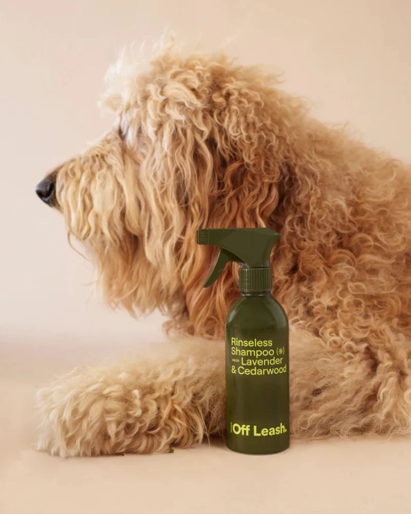 Rinseless Shampoo Dog Refrehing Spray - Image 3
