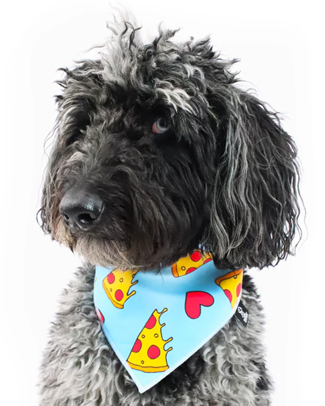 Pizza my Heart Bandana - Image 3