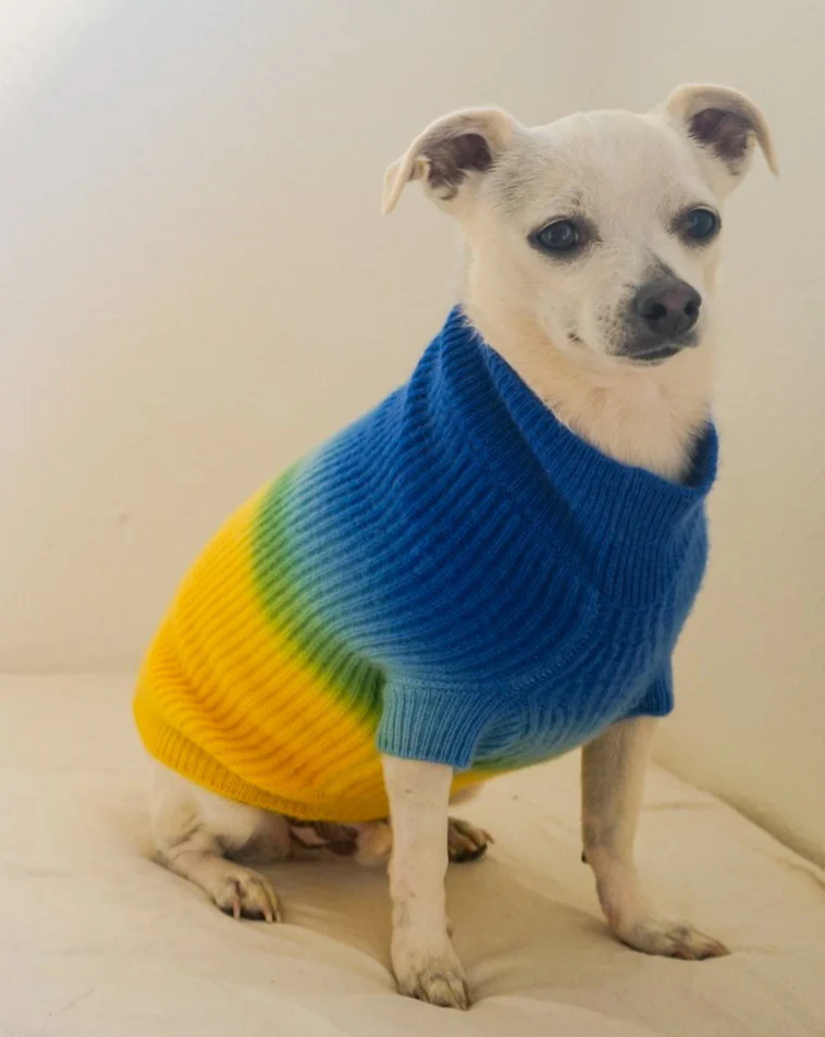 Tie-Dye Cashmere Blend Sweater in Blueberry & Pineapple << FINAL SALE >> - Image 3