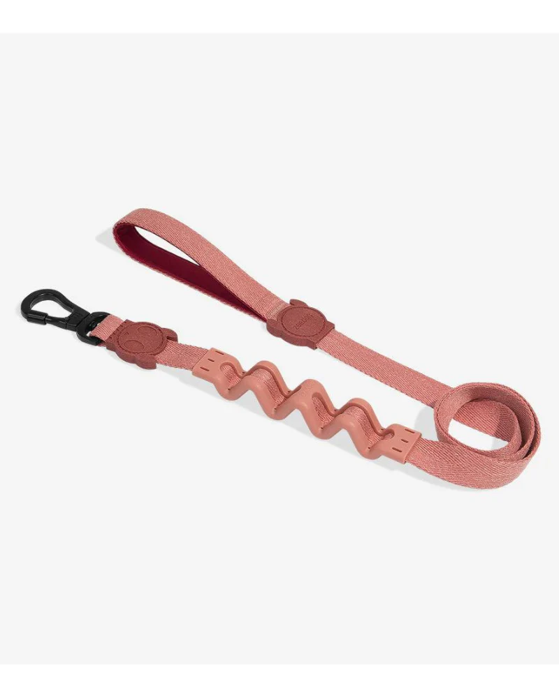 Ruff Leash for Dogs in Canyon (FINAL SALE) - Image 3