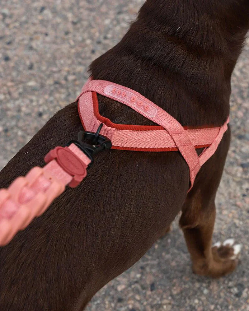Ruff Leash for Dogs in Canyon (FINAL SALE) - Image 7