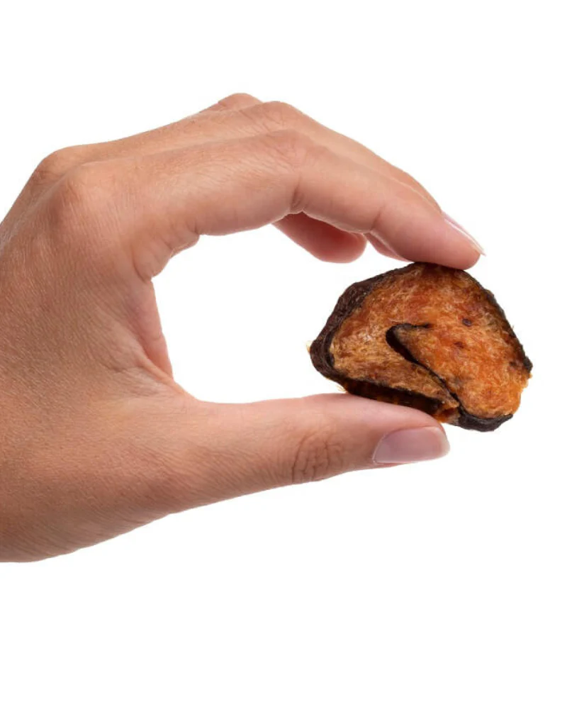 Salmon Sushi Soft Dog Treats (Made in the USA) - Image 2