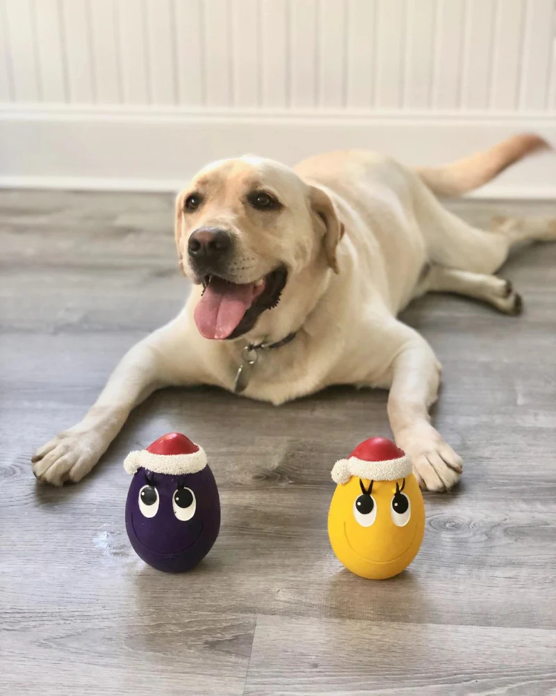 Santa Egg Latex Dog Toy (FINAL SALE) - Image 2
