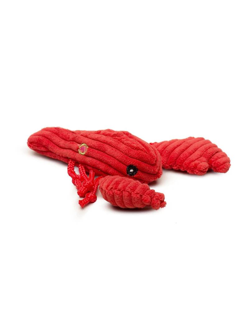 Sea Creatures Assorted Wee Huggles Plush Dog Toy - Image 4