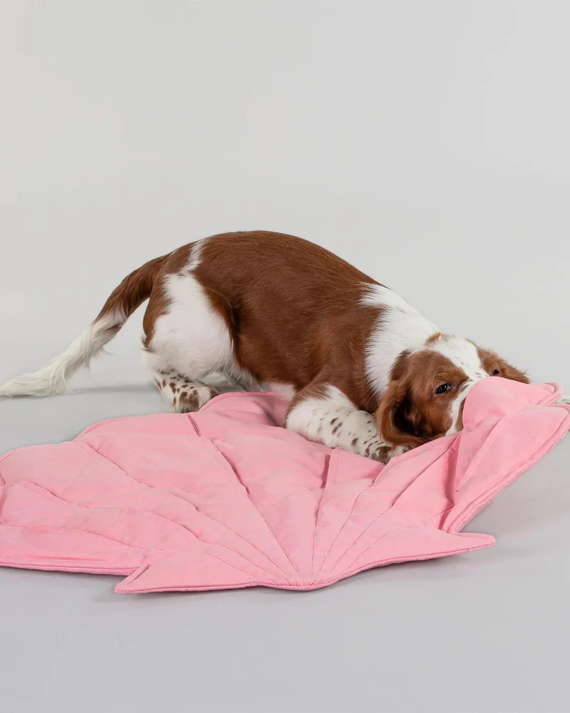 Seashell Dog Enrichment Playmat (30" x 22") - Image 3