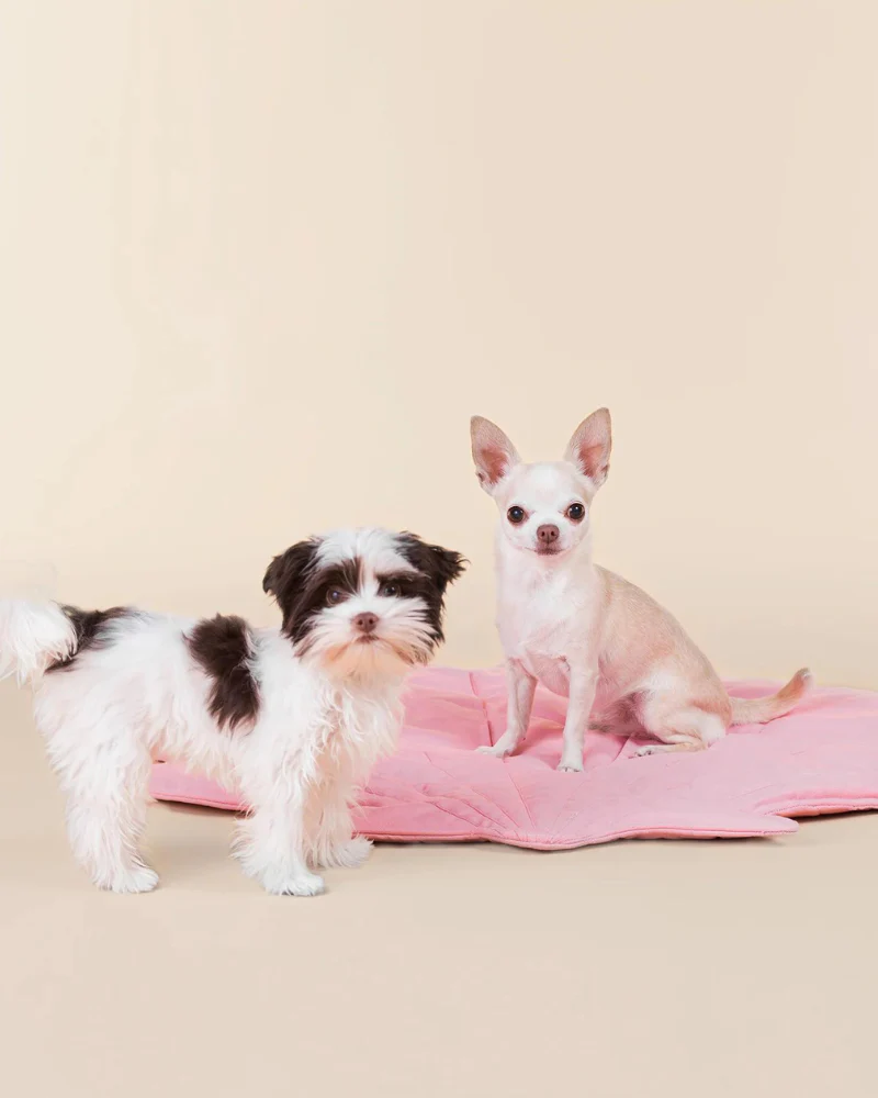 Seashell Dog Enrichment Playmat (30" x 22") - Image 5