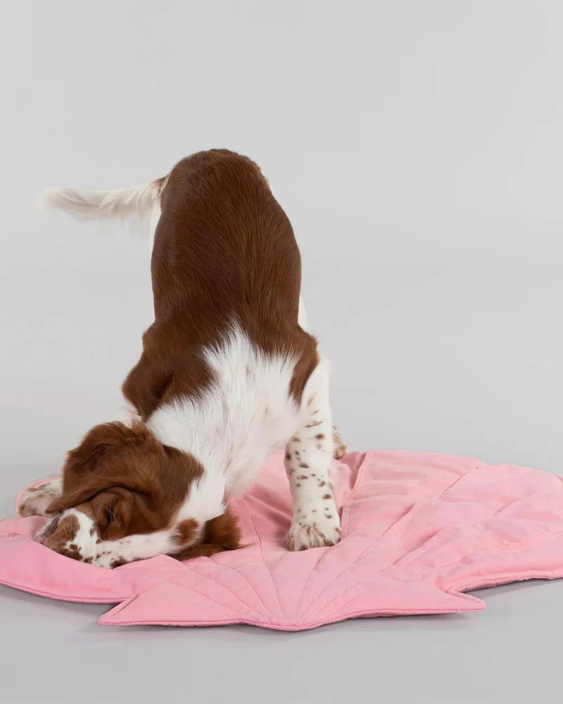 Seashell Dog Enrichment Playmat (30" x 22") - Image 9