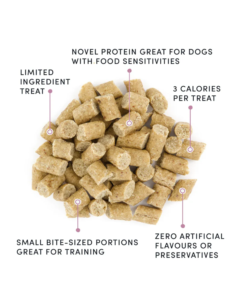 Soft & Chewy Lamb Mini Trainers Dog Treats - Image 2