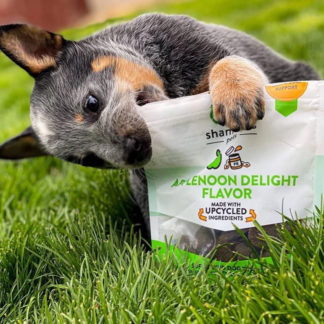 Applenoon Delight Soft Baked Upcycled Dog Treats - Image 7