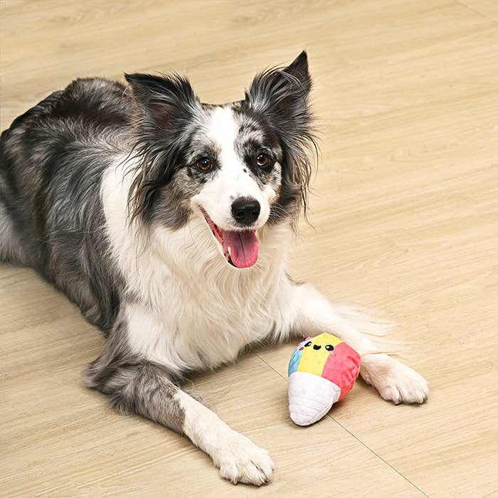 Shaved Ice 2-in-1 Dog Ball Toy - Image 5