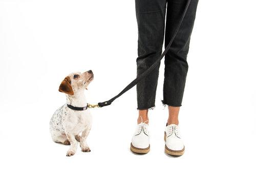 SHED | Mom Jeans Leash in Black Wash - Image 5
