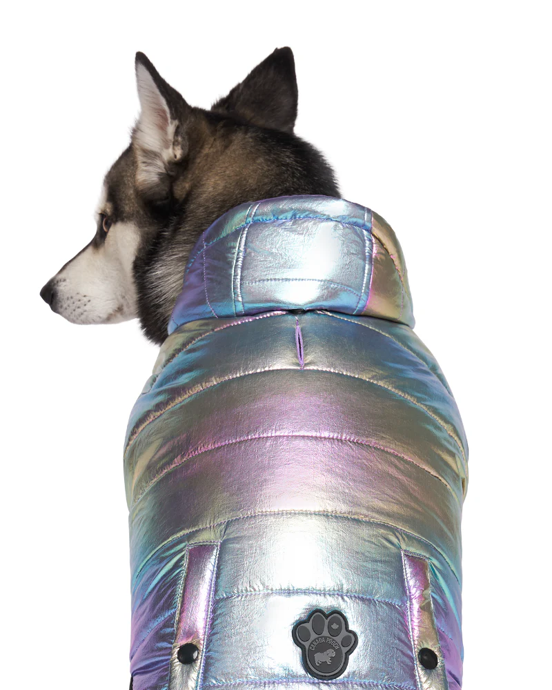 Shiny Puffer Dog Coat in Iridescent << FINAL SALE >> - Image 2