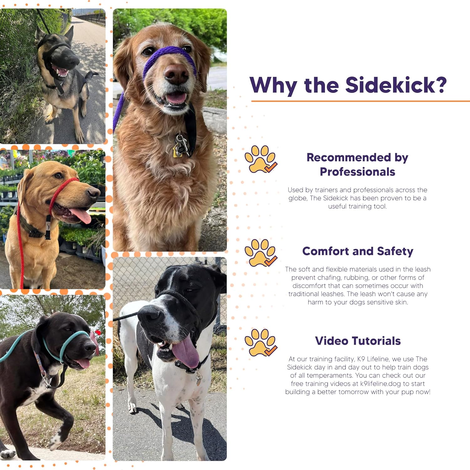 Sidekick Transitional No-Pull Leash - Image 6
