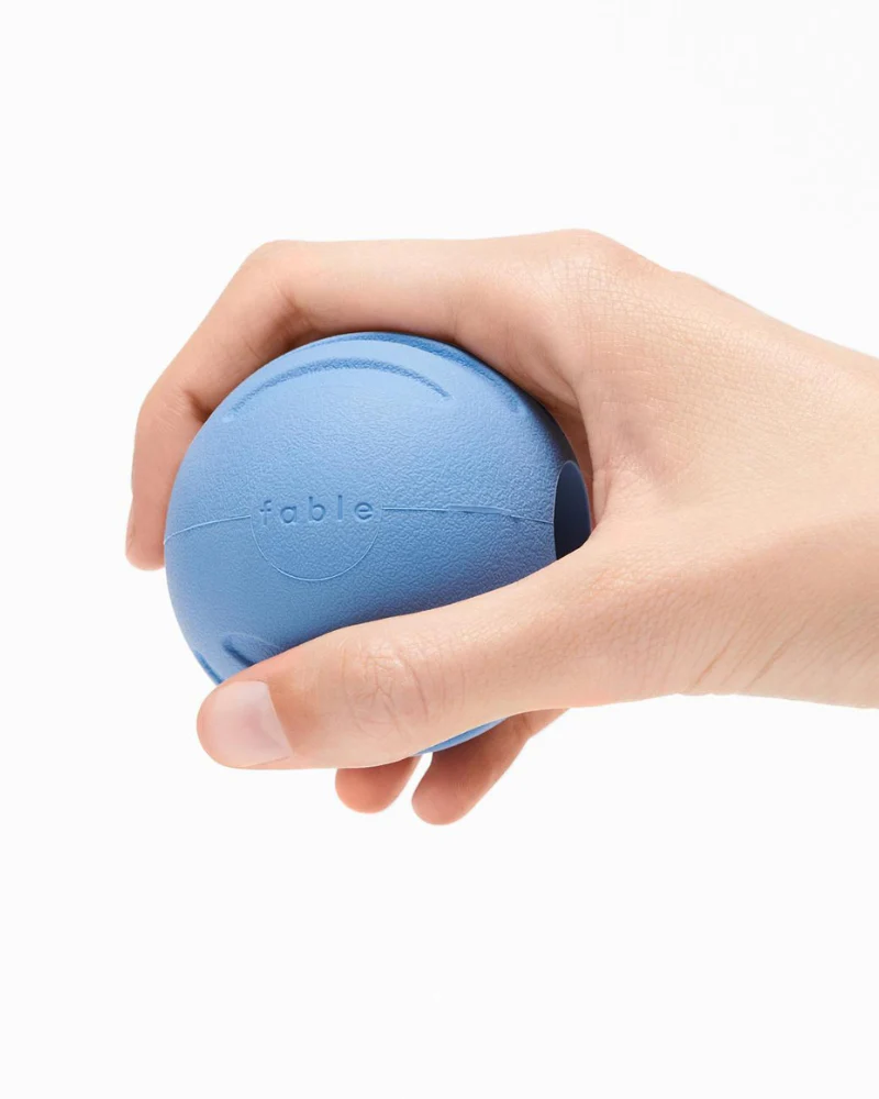 Signature Ball Interactive Dog Toy - Image 4