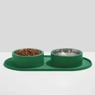 Curved Silicone Placement in Spruce - Image 2