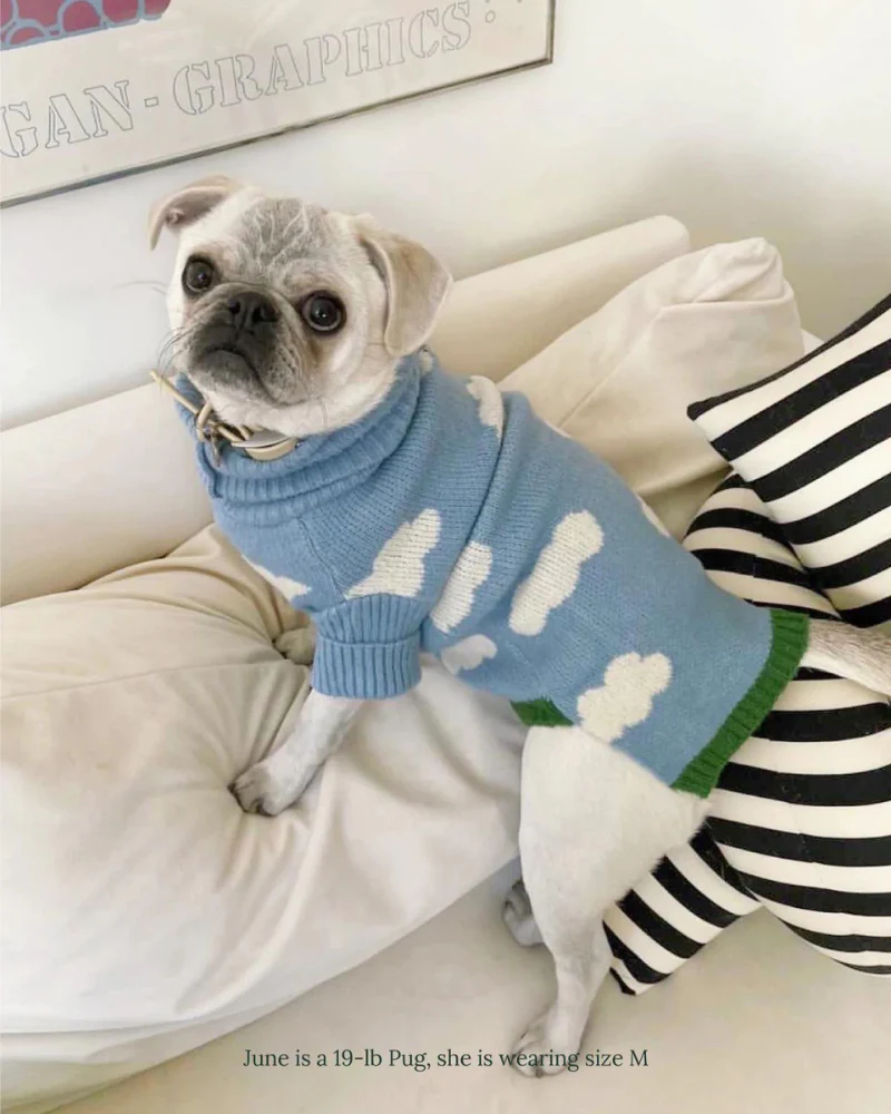 Silver Linings Dog Sweater - Image 7