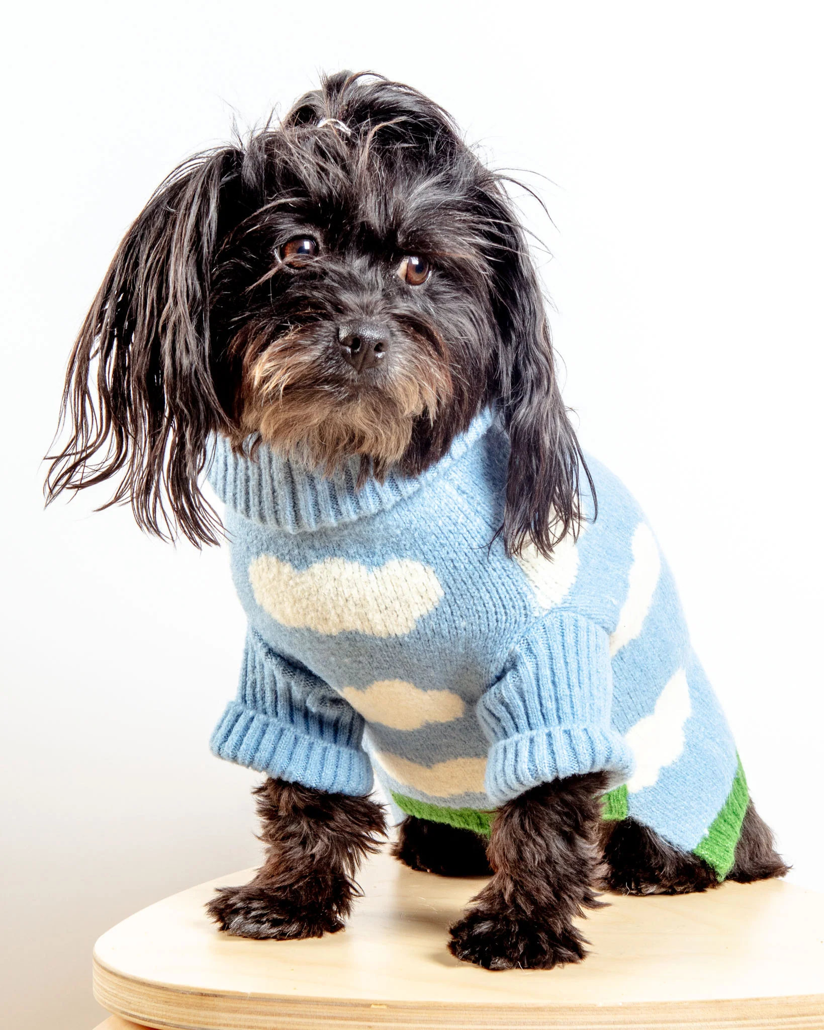 Silver Linings Dog Sweater - Image 8