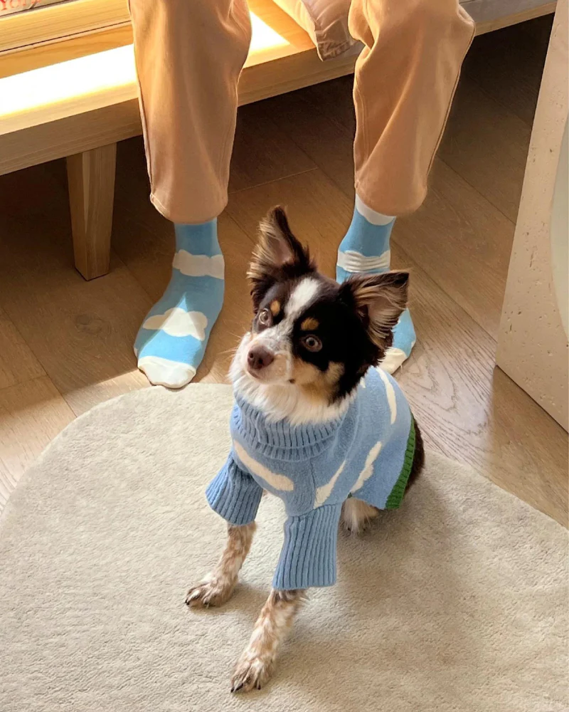 Silver Linings Sweater Matching Human Socks - Image 4