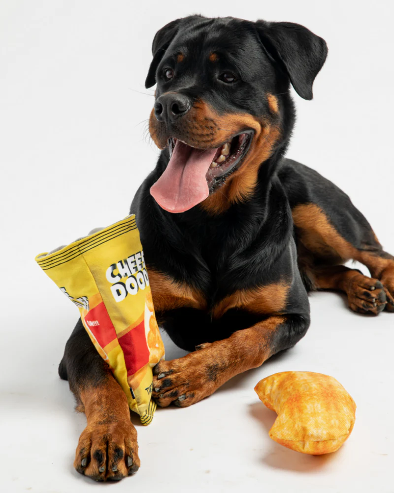 Cheese Doodles Crinkle + Squeak Dog Toy - Image 2