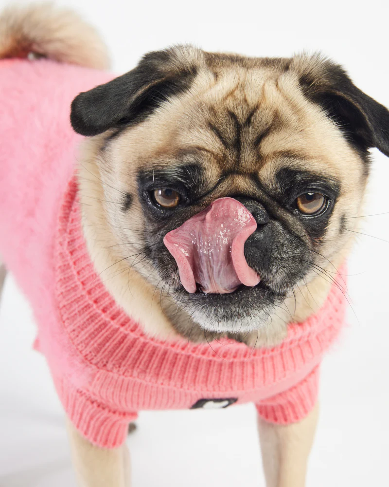 Long-Haired Fuzzy Dog Sweater<br>((FINAL SALE)) - Image 7