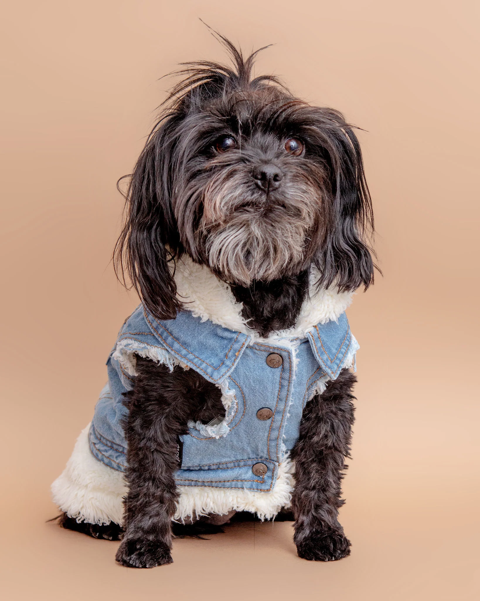 Justin Denim & Shearling Dog Jacket<br>((FINAL SALE)) - Image 4