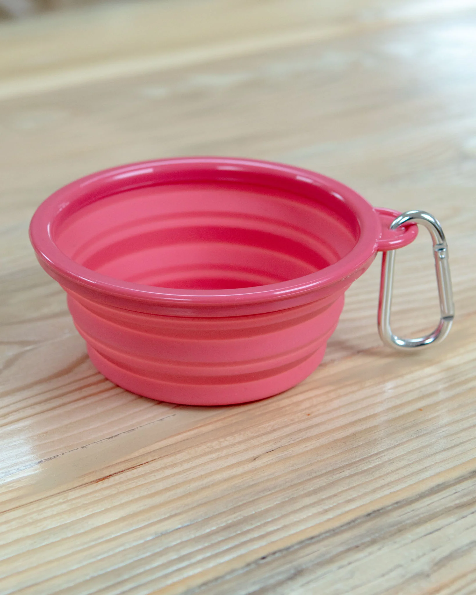 Single Travel Dog Bowl in Pink