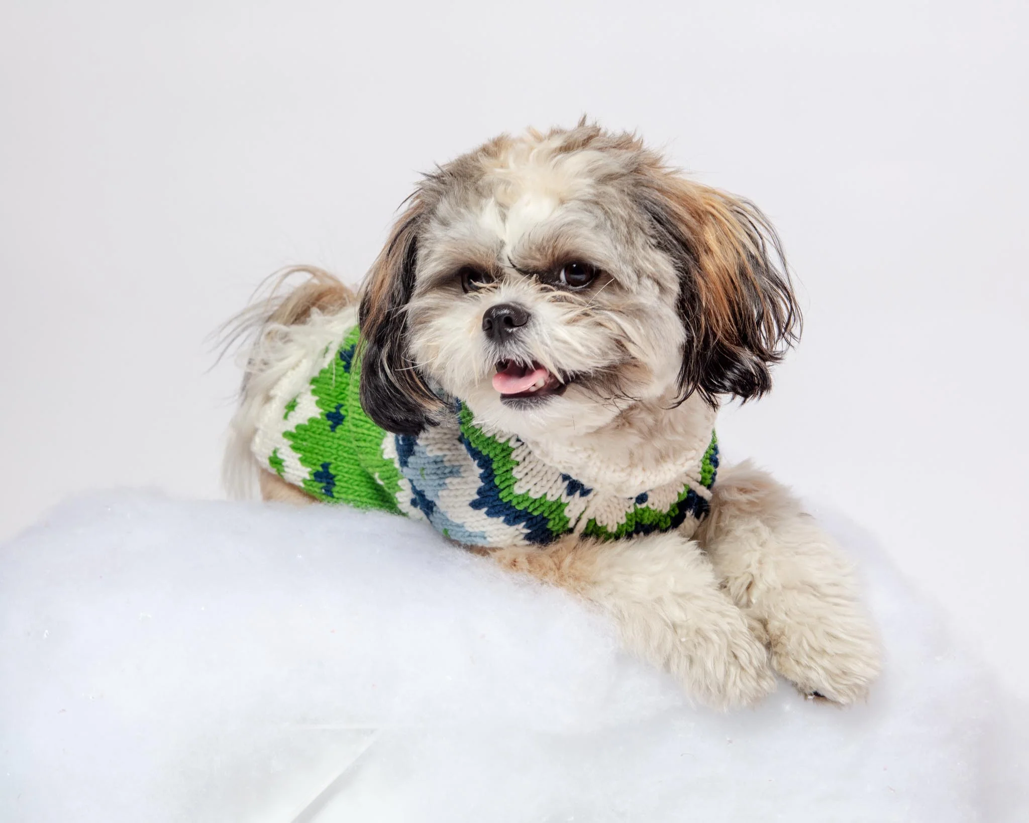 Ski Bum Dog Sweater in Green (FINAL SALE) - Image 3
