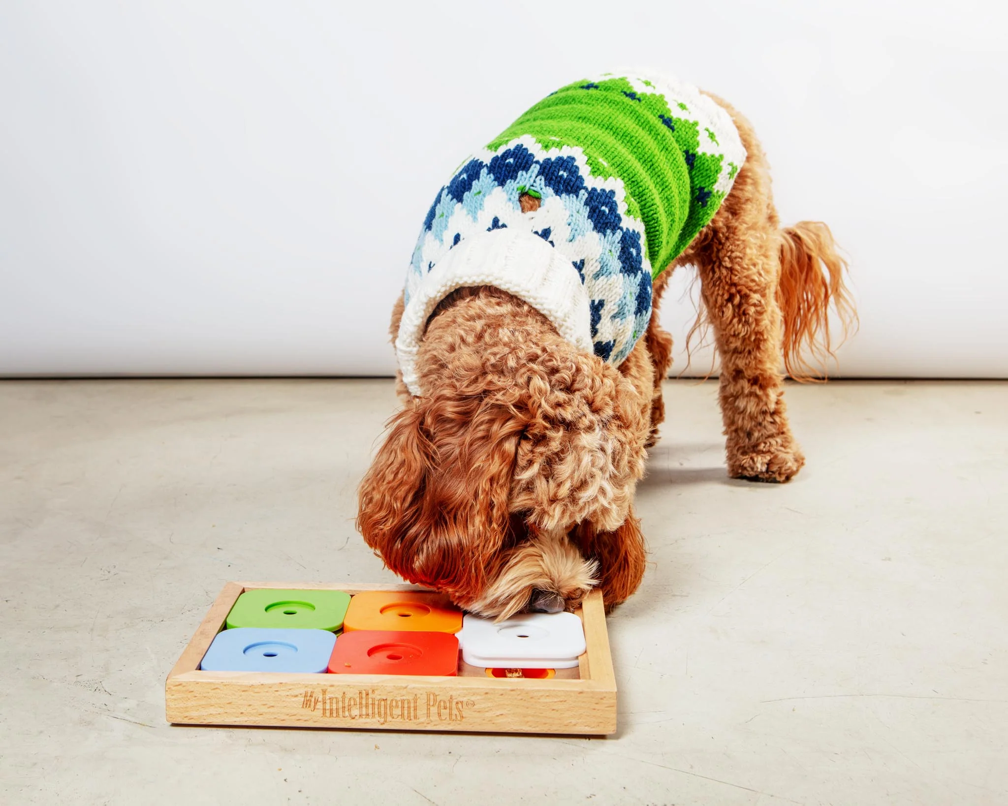 Ski Bum Dog Sweater in Green (FINAL SALE) - Image 4