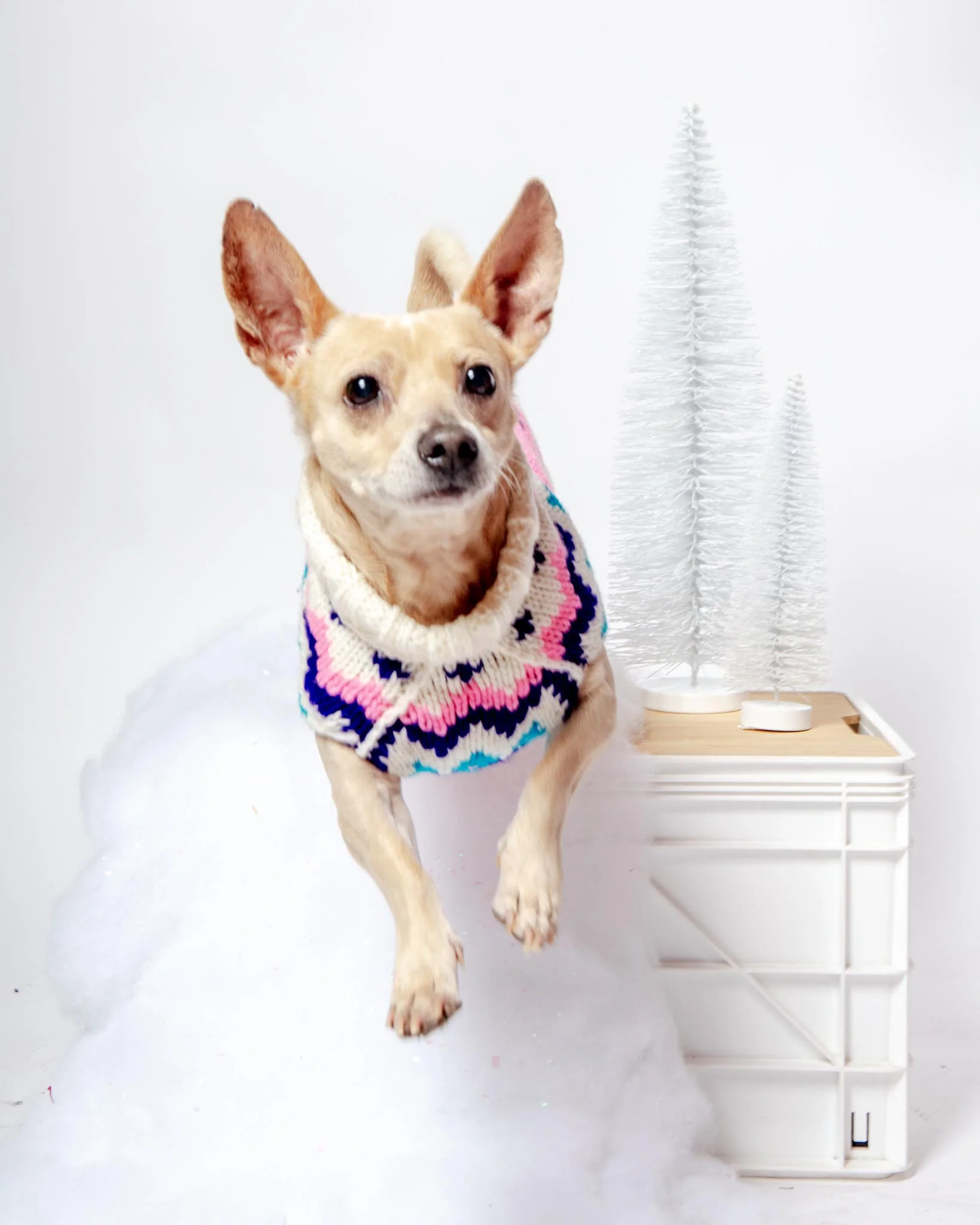 Ski Bum Dog Sweater in Pink (FINAL SALE) - Image 3