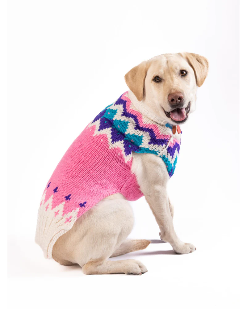 Ski Bum Dog Sweater in Pink (FINAL SALE) - Image 4