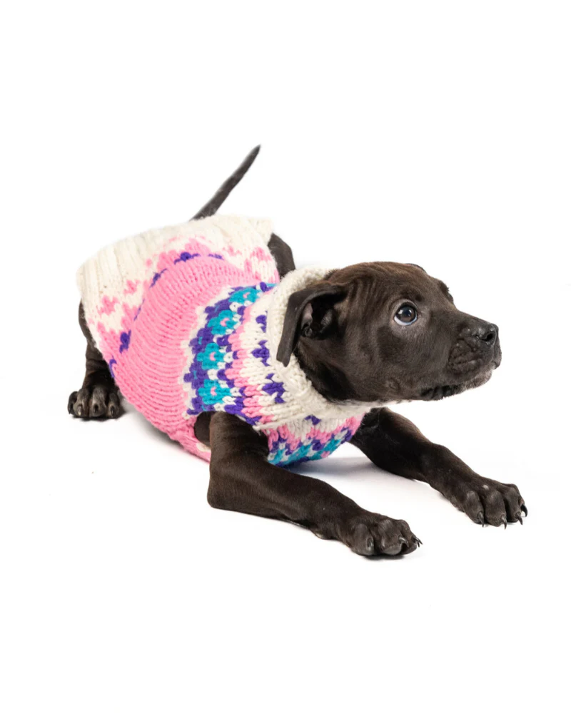 Ski Bum Dog Sweater in Pink (FINAL SALE) - Image 8