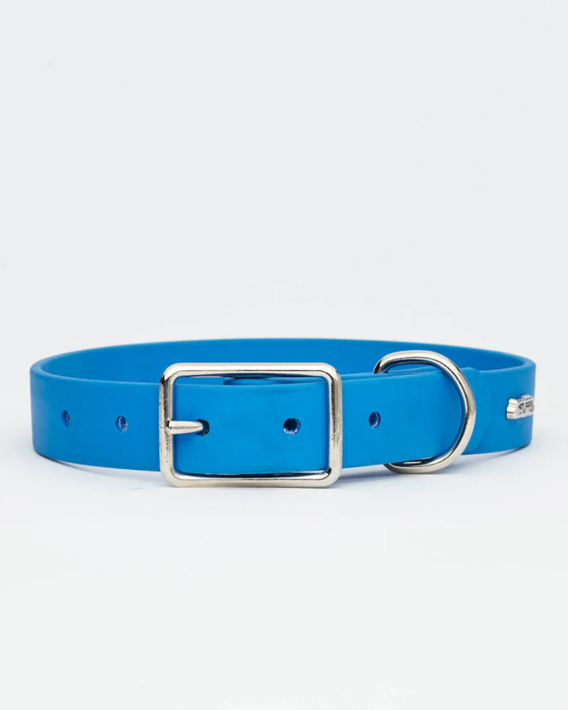 Sky Blue Clouds Dog Collar + Leash Set (Made in Canada) - Image 4