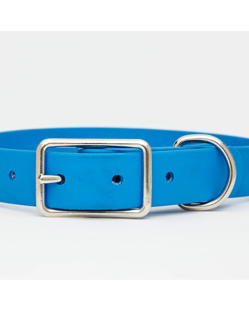 Sky Blue Clouds Dog Collar + Leash Set (Made in Canada) - Image 5