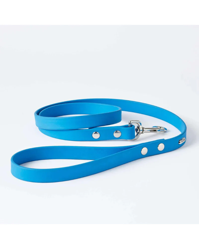 Sky Blue Clouds Dog Collar + Leash Set (Made in Canada) - Image 8