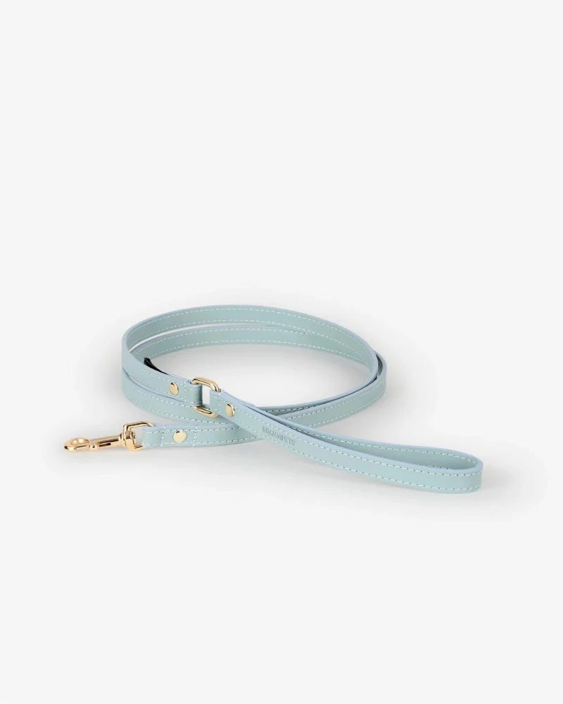 Sky Blue Nara Leather Dog Leash with Brass Hardware (Made in Italy)