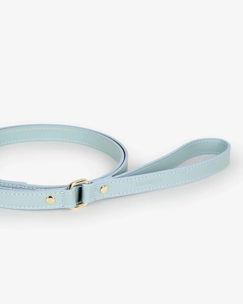Sky Blue Nara Leather Dog Leash with Brass Hardware (Made in Italy) - Image 2