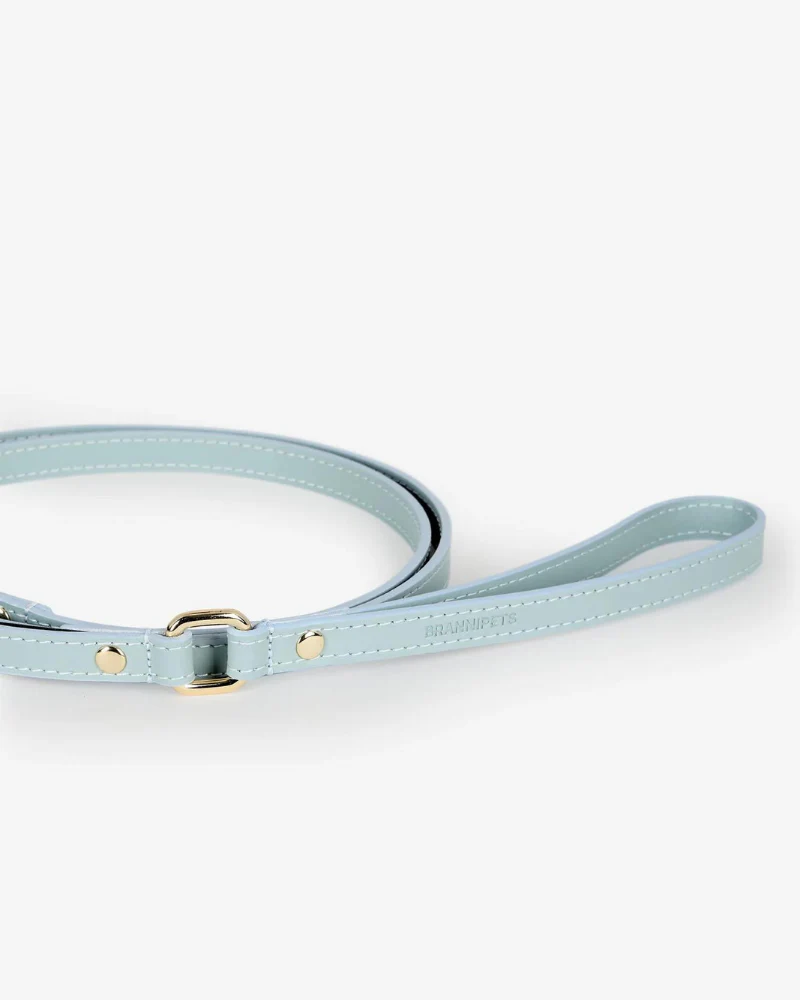 Sky Blue Nara Leather Dog Leash with Brass Hardware (Made in Italy) - Image 5