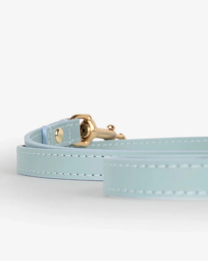 Sky Blue Nara Leather Dog Leash with Brass Hardware (Made in Italy) - Image 6