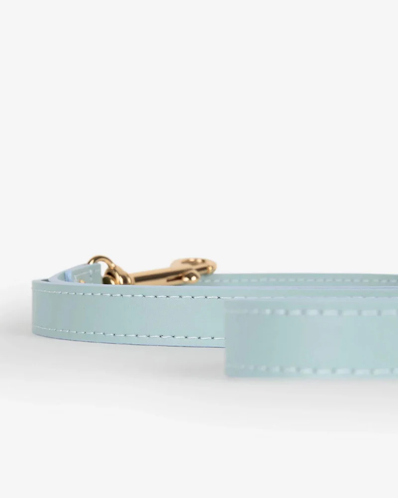 Sky Blue Nara Leather Dog Leash with Brass Hardware (Made in Italy) - Image 7