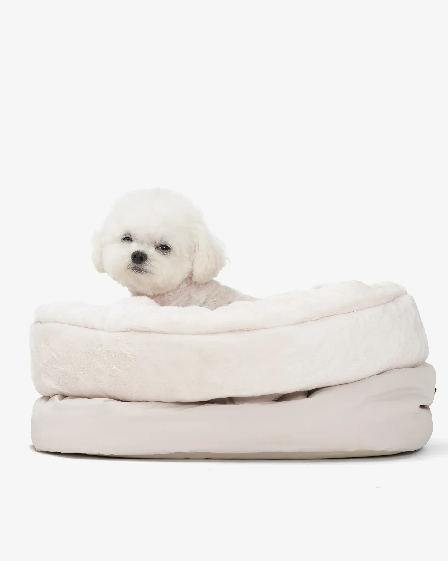 Sleeping Cushion Dog Bag - Image 2