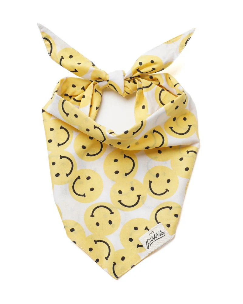 Smile Dog Bandana (FINAL SALE) - Image 3