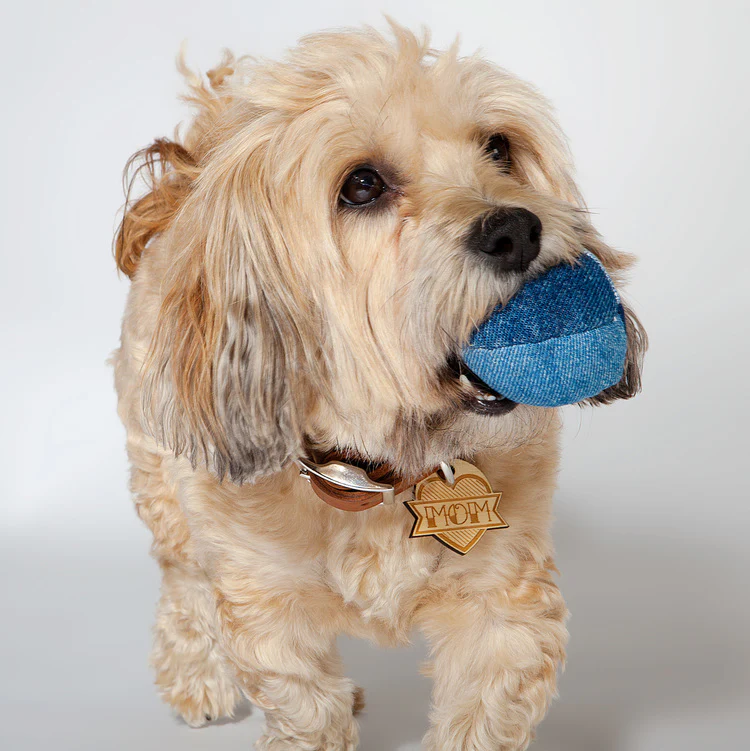 SMILING FROG PETS | Recycled Denim Ball Toys - Image 3