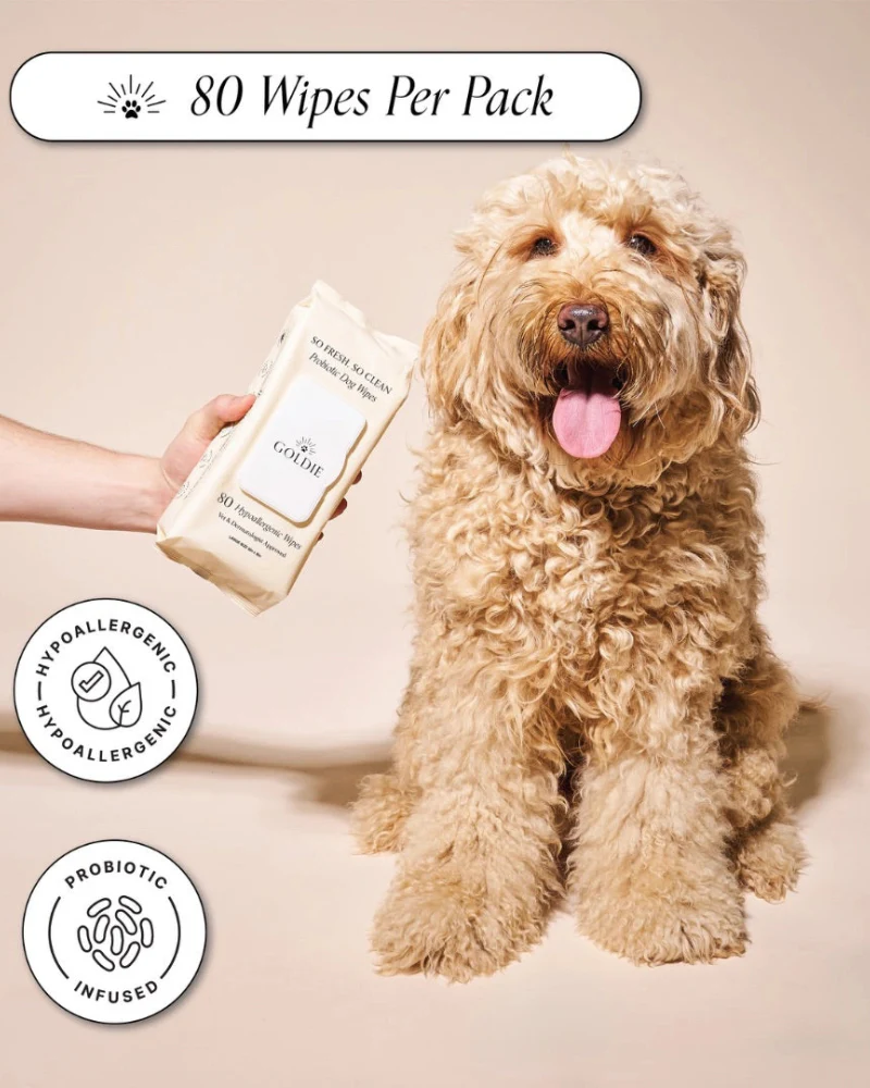 So Fresh, So Clean Prebiotic Dog Wipes - Image 4