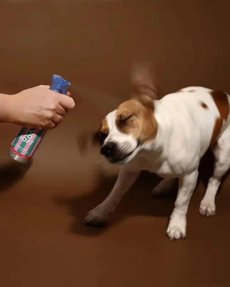 So So Soft Keratin Detangling Spray for Dogs (150 ml.) - Image 3