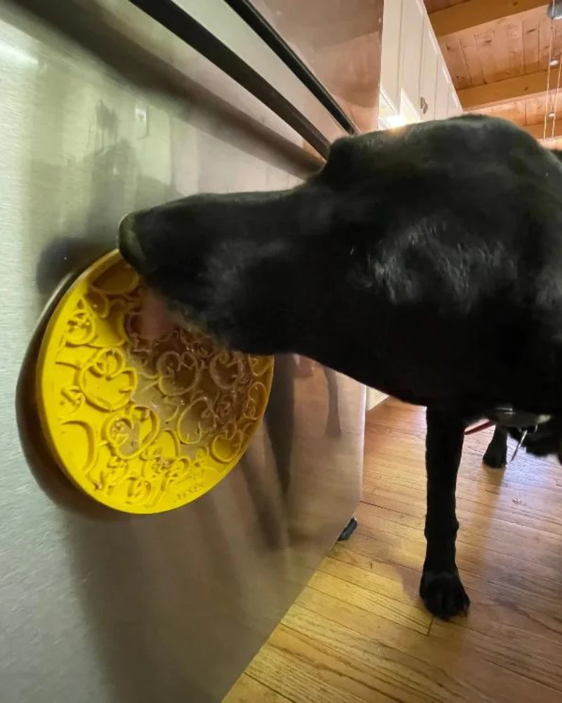 Duckies Dog Lick Mat With Suction Cups (Made in the USA) - Image 7