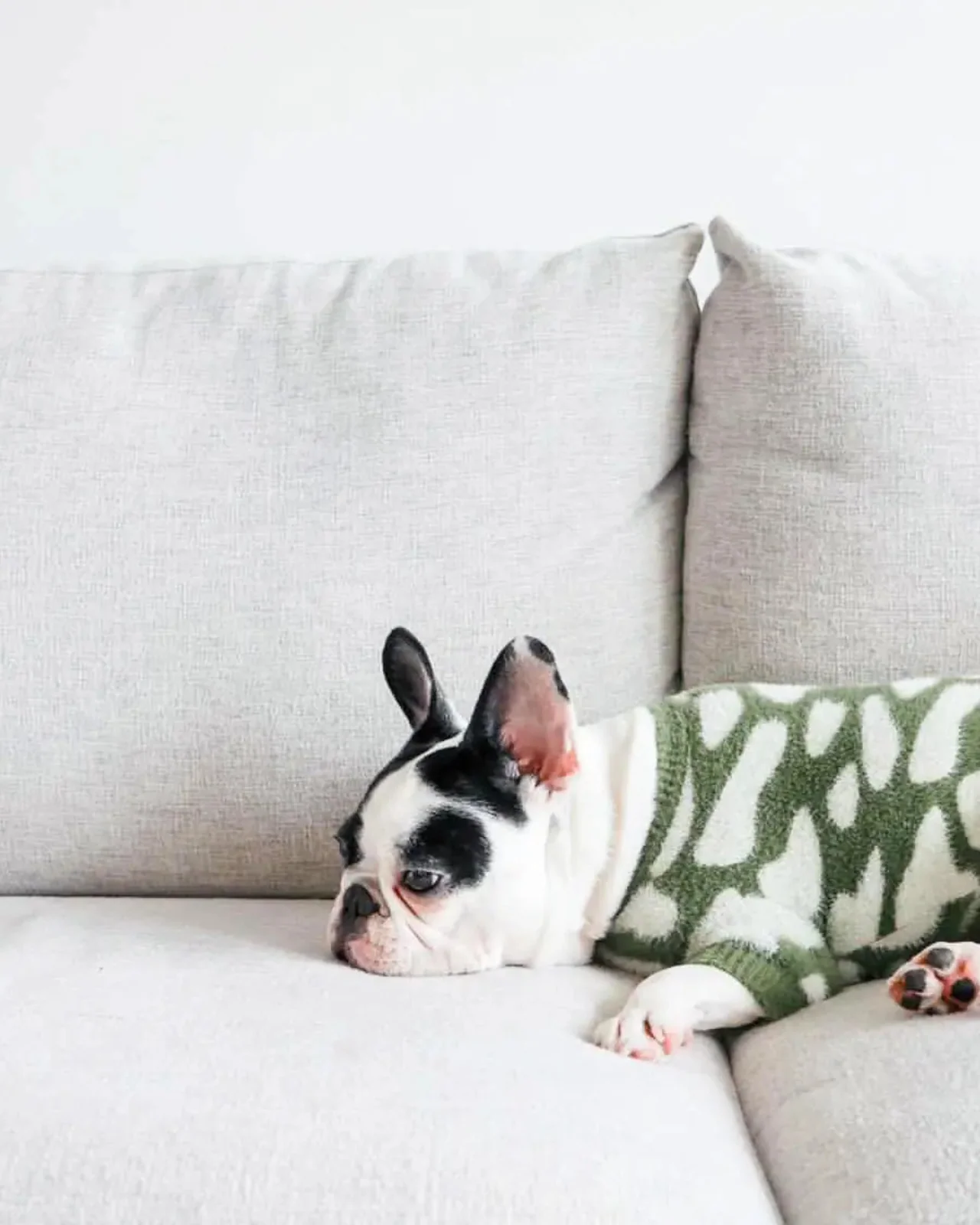 Soft Cloud Pet Sweater (FINAL SALE) - Image 2